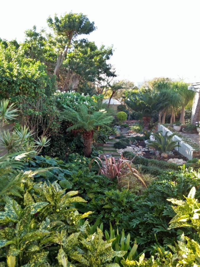 Plettenberg Bay Lagoon Stay Exterior foto